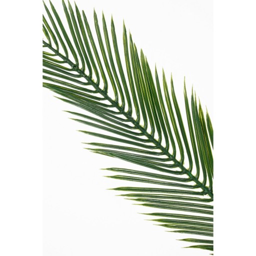 Cycas Palm Kunstplant - H150 x Ø100 cm - Groen