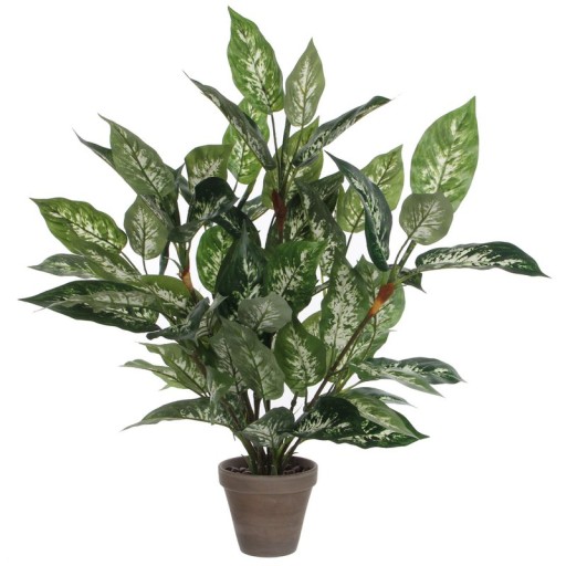 Kunstplant Dieffenbachia in Bloempot Stan | Kamerlinde H70 x Ø55 cm | Groen