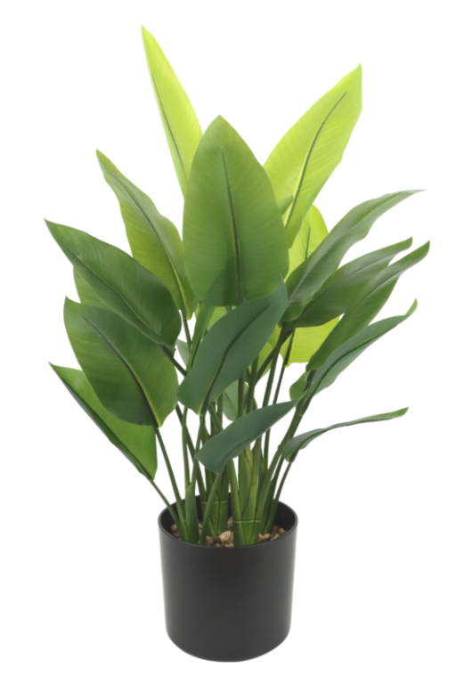 Artificial Strelitzia Plant 70cm