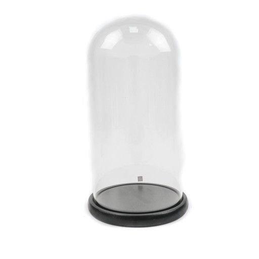 Zwarte Glazen Stolp | Bell Jar Glas/Hout | 17x17x32cm