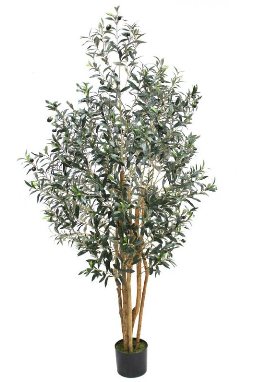 Kunstplant Olijfboom 180 cm | Kunstboom Olea Europea