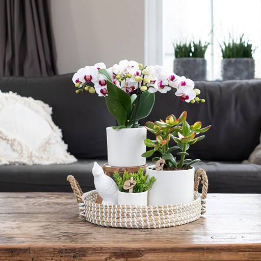 Kolibri Home | Decoratieschaal - Wit gevlochten dienblad Ø30cm