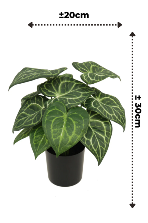 Syngonium Kunstplant 30 cm