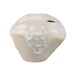 Dangelo Cream Ceramic Irregular Vase S