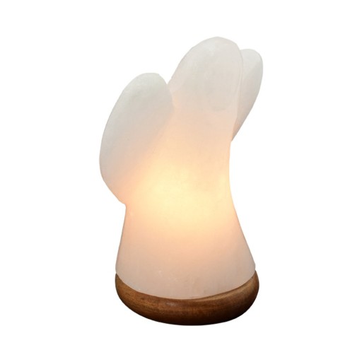 Himalaya Salt Dreams, ZoutLamp Engel op Houten voet, Wit, 46231, ca19 cm hoog