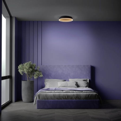 LED Deckenleuchte ARANY, Deckenleuchte aus Metall und Kunststoff in Schwarz,, mit fest verbauten LEDs, dimmbar, 40 cm Durchmesser