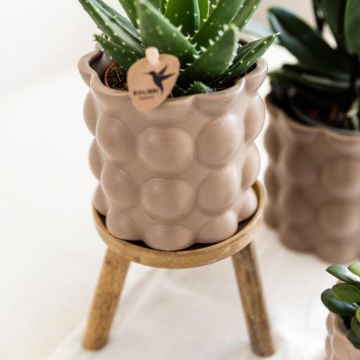 Kolibri Home | Plantenstandaard - Houten planten verhoging Ø12cm