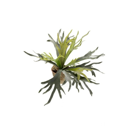 Kunstplant Staghorn Fern Hertshoorn 50 cm | Decoratieve & Onderhoudsvrije Kunstvaren - Product afbeelding