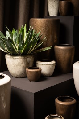 Kyleigh Bronze Round Ceramic Pot Smooth High XL