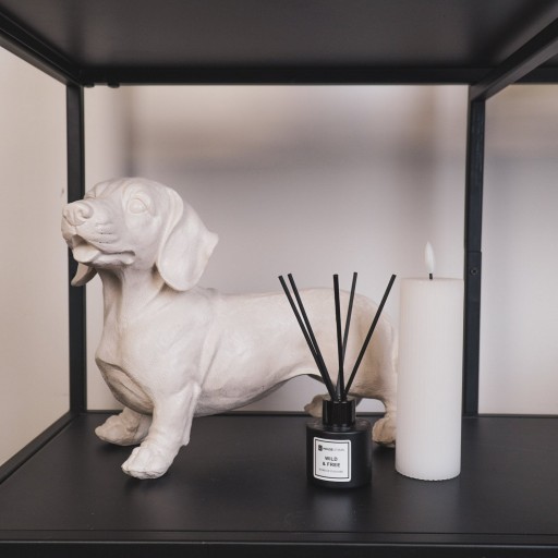 Ornament - Tackle Hond - Polyresin - Beige - 20x8x15cm