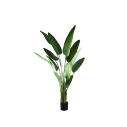 Leaves Plant Green PE Real Touch Strelitzia L | Luxe Kunstplant 235 cm - Product afbeelding