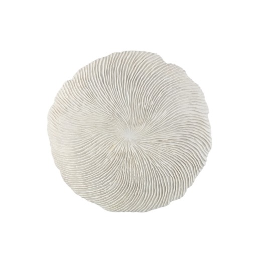 Kathelle White Poly Round Coral Shaped Wallpanel L