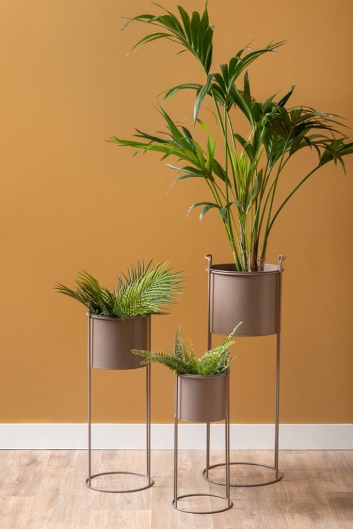 Plant Pot Set Essence