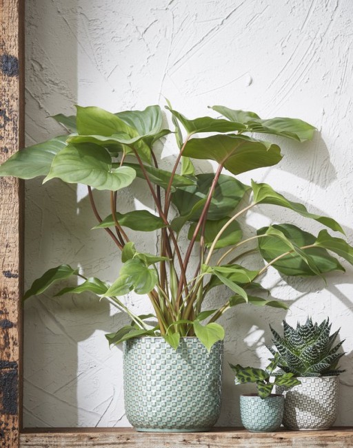 Daan Flowerpot - H18 x Ø19 cm - Green