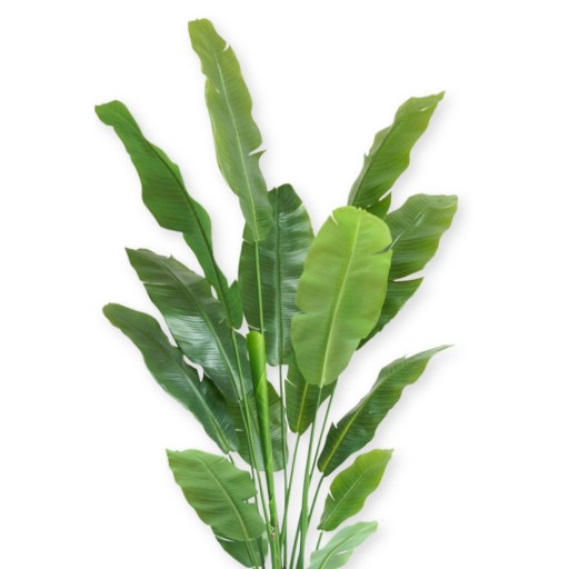 Strelitzia Kunstplant 180cm Deluxe
