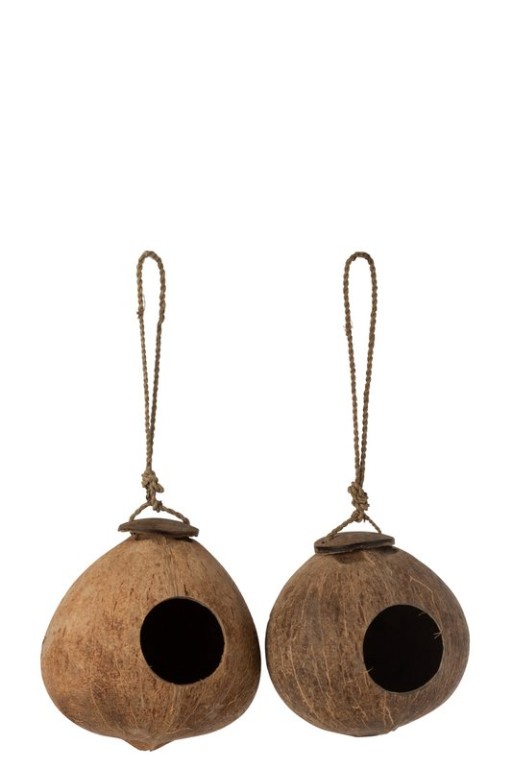 J-Line Coconut House decoration - birdhouse - wood - natural - L