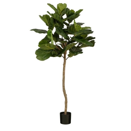 Ficus Lyrata Artificial Plant - H165 x Ø95 - Green