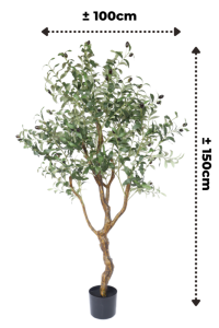 Pre-Order Art Olive Tree 150cm