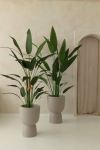 Artificial Strelitzia Plant With Flower 160cm