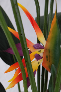 Artificial Strelitzia Plant With Flower 160cm