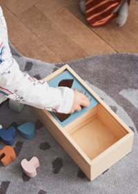 Wooden Puzzle Box