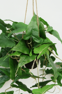 Typhonium Artificial Hanging Plant 95cm