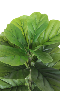 Ficus Artificial plant 100cm