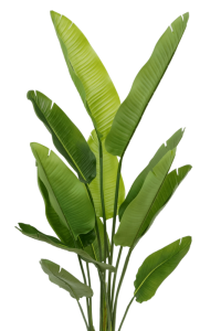 Strelitzia Artificial Plant 160cm