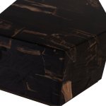 Rayn Petrified Wood Black Coffeetable M