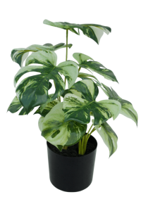 Monstera Artificial plant 40cm