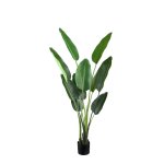 Leaves Plant Green PE Real Touch Strelitzia M