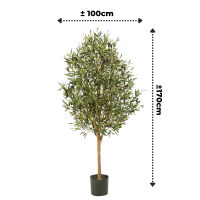 Pre-order Kunst Olijfboom 170cm Deluxe (feb '26)