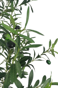 Artificial Olive Tree 210cm