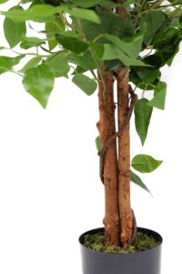 Artificial Ficus Tree 90cm