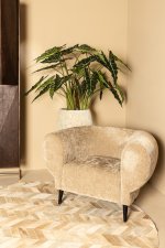 Elefan Anthracite Fauteuil Round Armrest