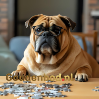Robotime 3D Houten Puzzel | Merry Go Round TG404 | 174 stukjes – 12x12x15 cm