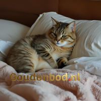 Mörgenn Boxspring Parga - Lederlook - Complete set - 140x200
