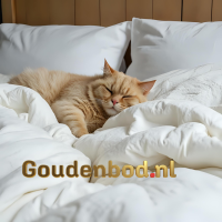 Mörgenn Opberg Boxspring Oud Roze 180x210