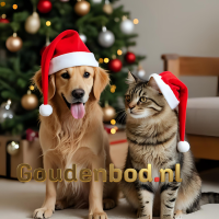 Kerstdecoratie Gnoom Bruin | L19 x B16 x H54 cm | Mica Decorations
