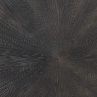 Zapp Zwart MDF Wandpaneel | Rond Gegraveerd met Gouden Accenten