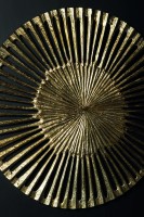 Marjun Goud Aluminium Wandpaneel | Open Rond S