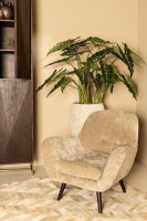 Donny Fauteuil | Cream Fluweel | Zwarte Houten Poten | 92x82x84 cm