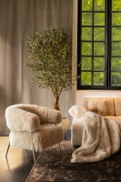 Hair Fauteuil | Cream Harige Bekleding | Gouden Metaal Onderstel | 74x85x78 cm