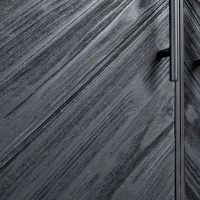 Rens Black Wooden Cabinet | Zwarte Houten Kast met Metalen Frame en 2 Deuren | 186 cm Hoog