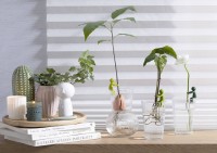 Peleg Design Stekjeshouder Leafriend | Groen | Plantensteun voor Stekjes