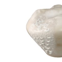 Dangelo Cream Ceramic Irregular Vase XL | Koraalvormige Keramieken Vaas 43x32x44 cm