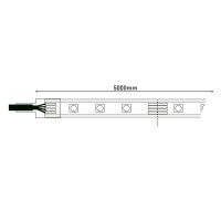LED "Stripe" Outdoor 5 m RGB