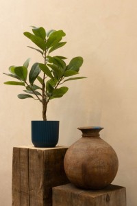 Ficus Artificial plant 80cm