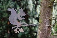 Lucky animal Squirrel/ Squirrel, 1310, 245x288x2mm