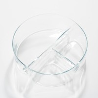 Linda Snack bowl with compartments - H9 x Ø26 cm - Glass - Transparent